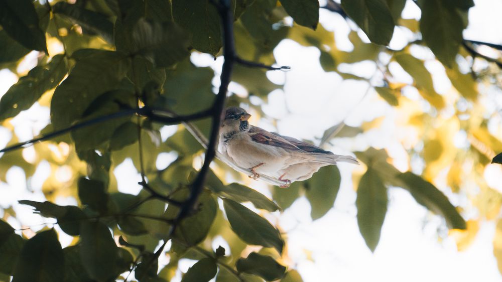 Photograph by Vadzim Darafei