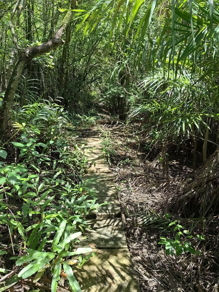 Photograph by Алексей Жданов