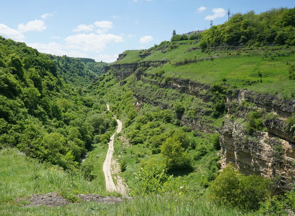 Photograph by Анастасия