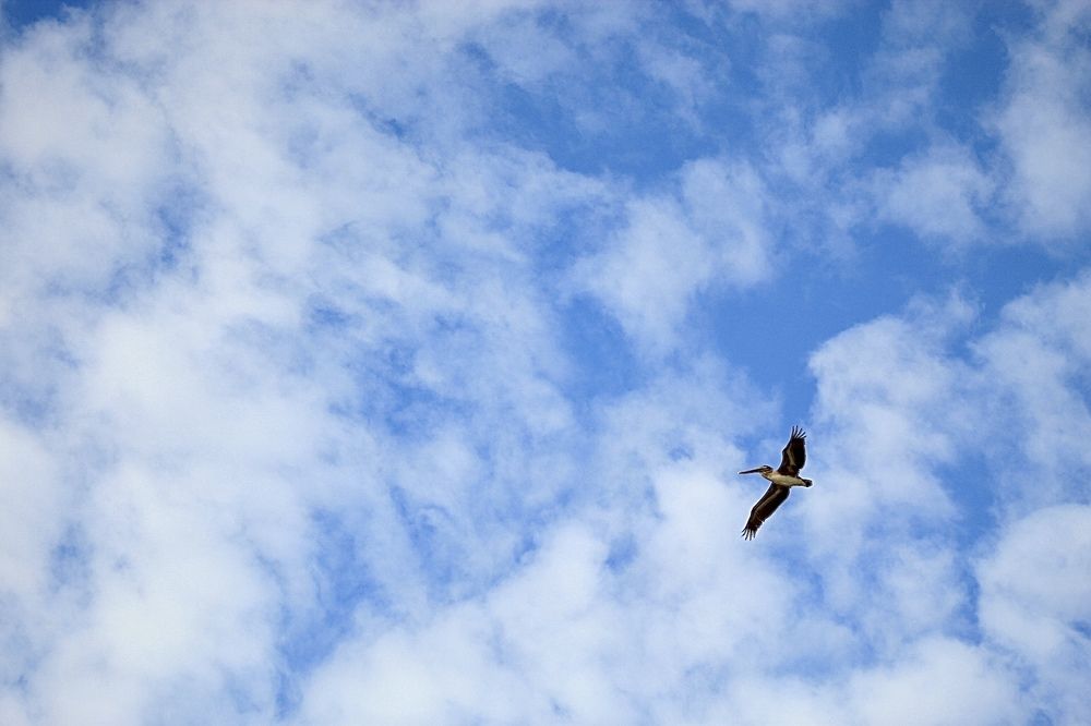 Фотография автора Jose Otero