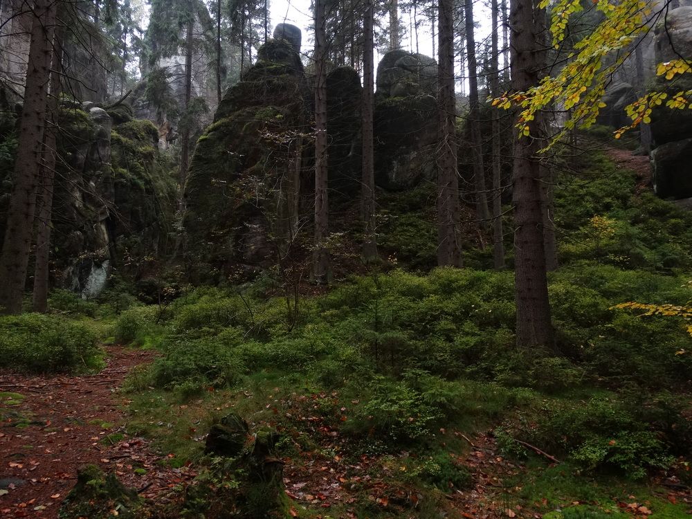 Photograph by Мила Милая