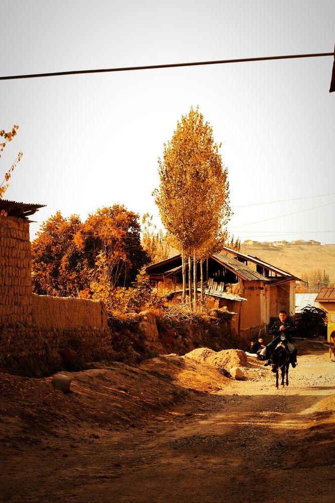 Photograph by Владимир Ким