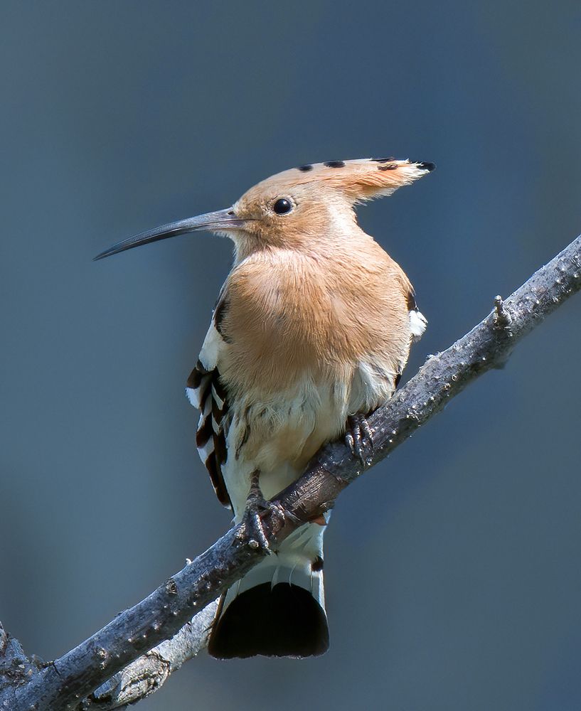 Фотография автора Михаил Ездаков