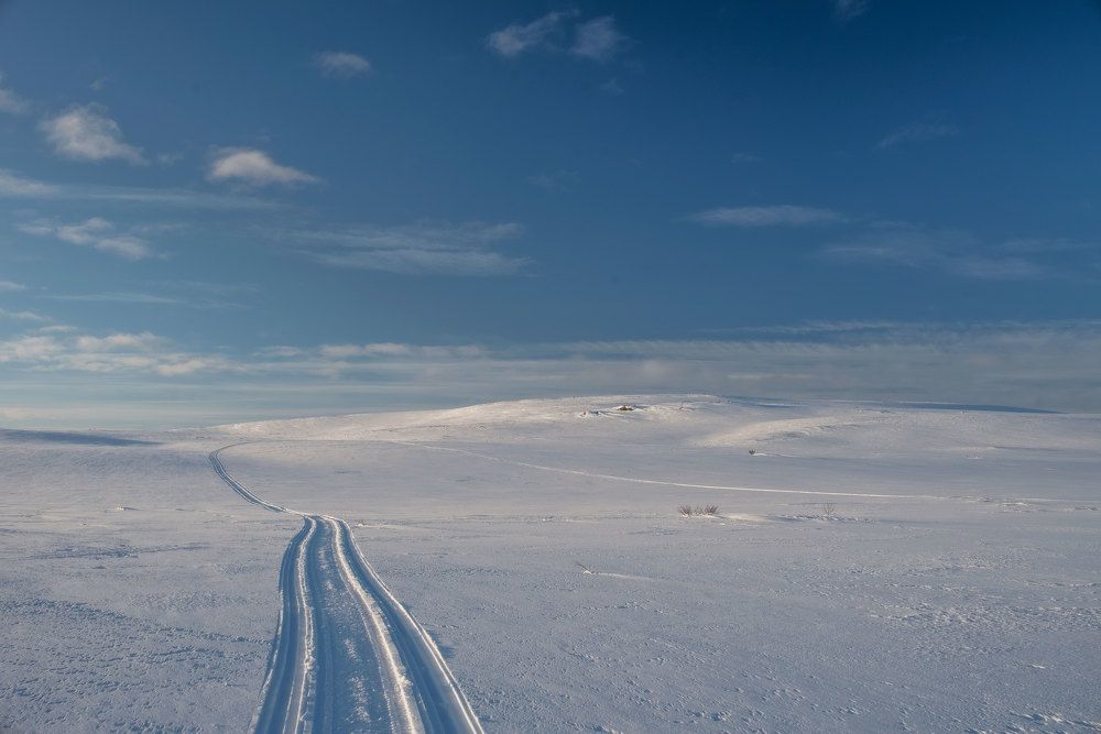 Photograph by Марина Зборацкая