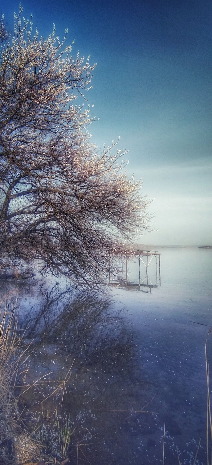 Photo #11233754