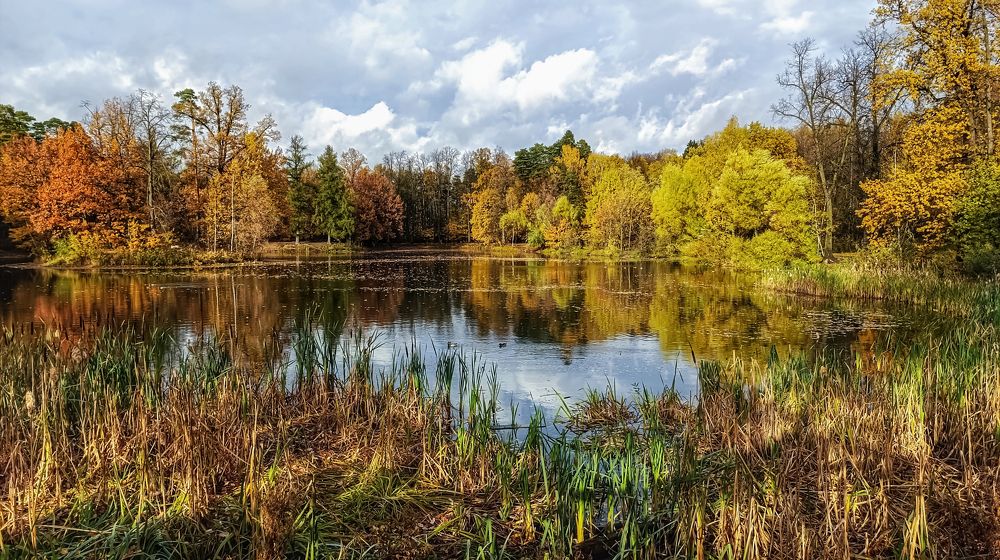 Photograph by Владимир Ковжаров