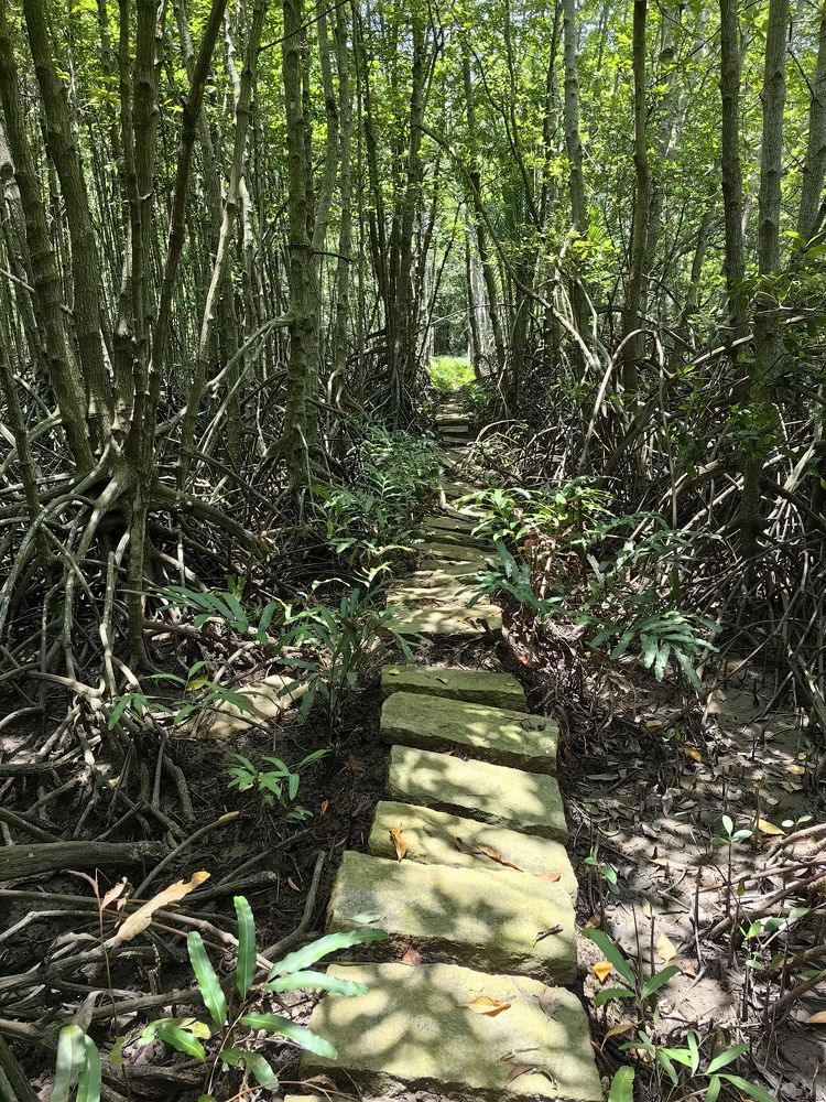 Photograph by Алексей Жданов