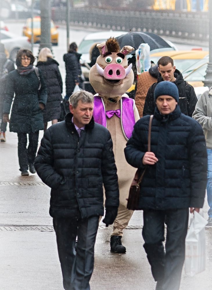 Photograph by Сергей Басов