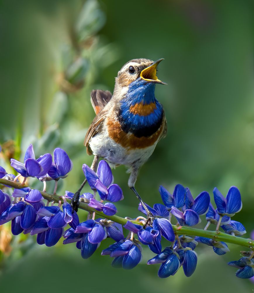 Photograph by Михаил Ездаков