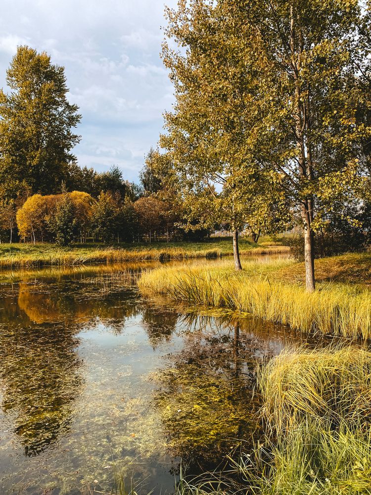Фотография автора Лариса Гришкевич