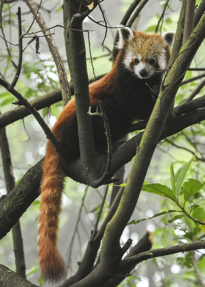 Photograph by Pinak Paul