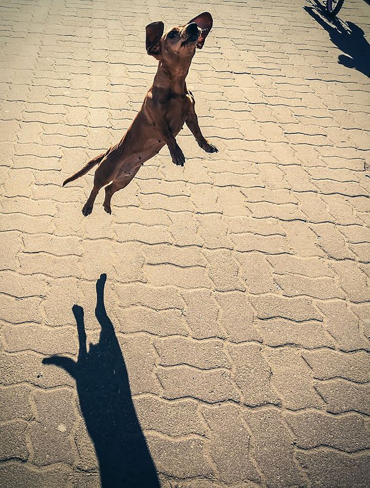 Фотография автора ira bolshakova