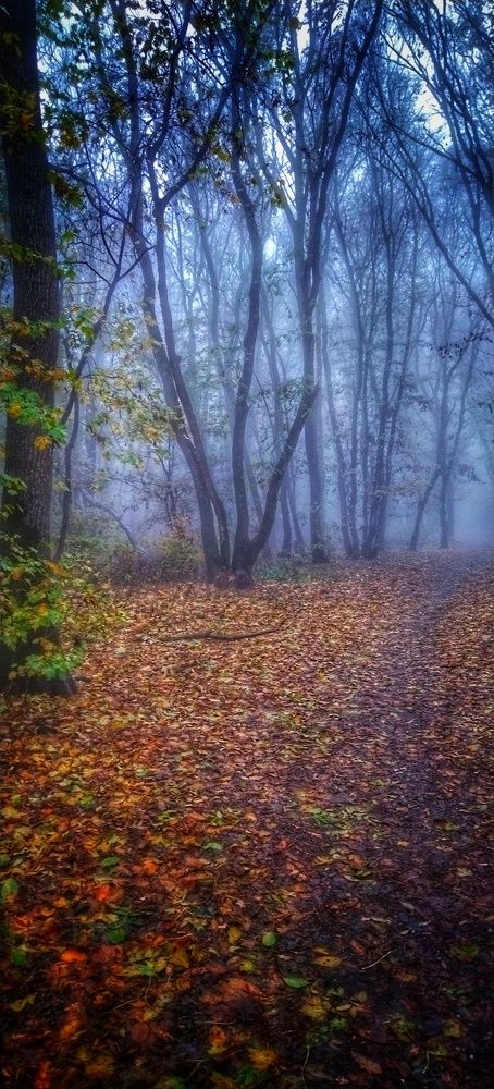 Photograph by Александра Рымарова