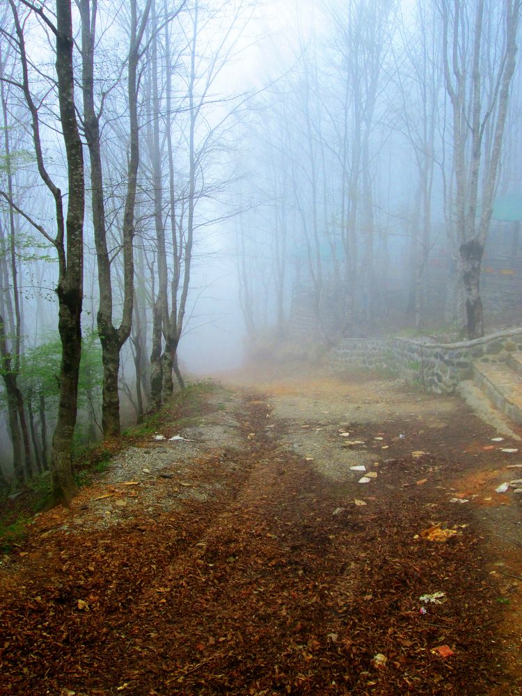 Photograph by Abdolreza Aleagha