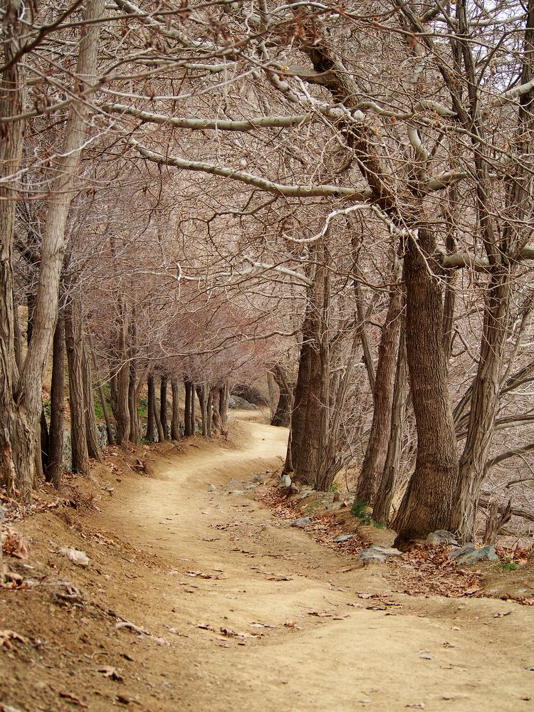 Photograph by Abdolreza Aleagha