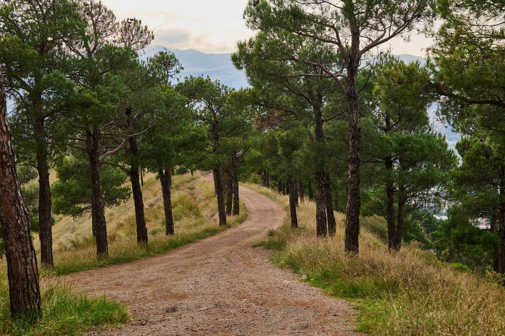 Photograph by Дмитрий Солодухин