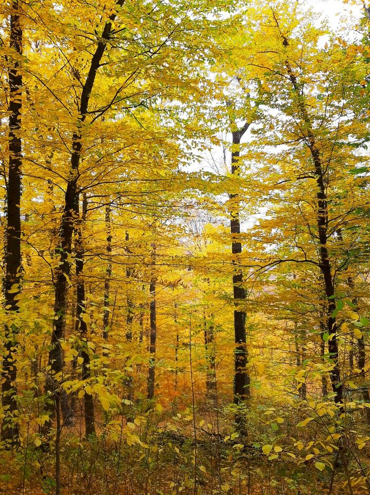 Photograph by Галина Глазкова