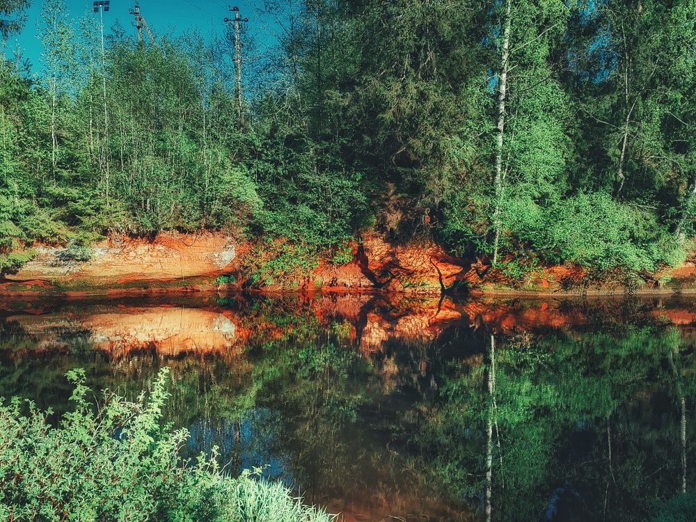 Photograph by Дайана