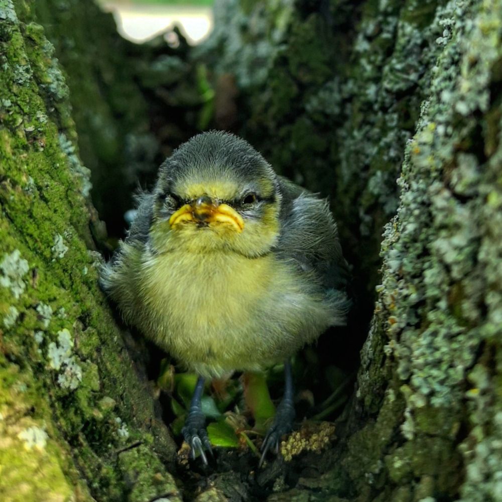 Photograph by Михаил Жарский