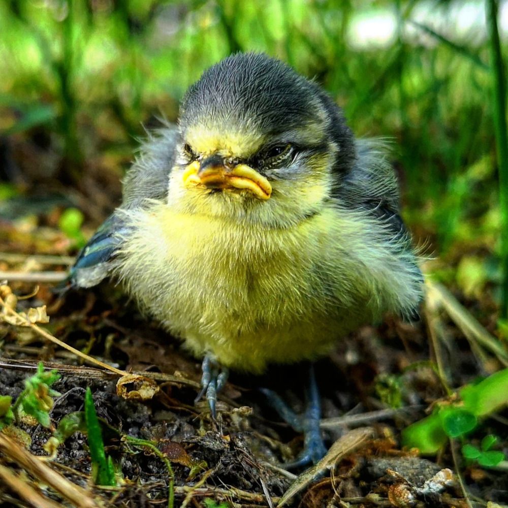 Photograph by Михаил Жарский