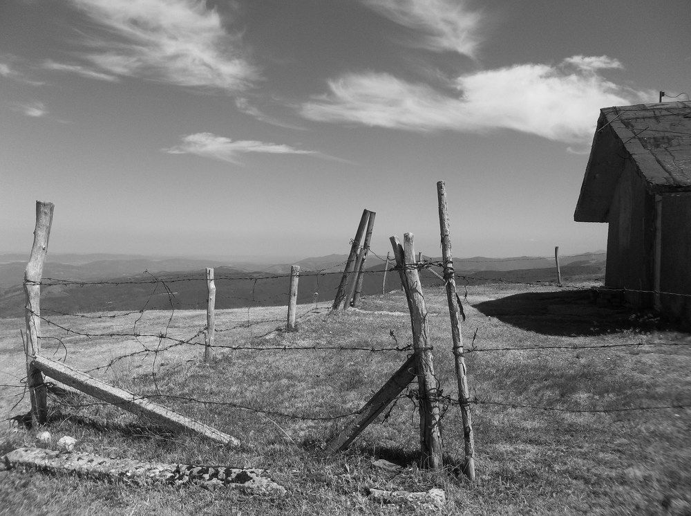 Photograph by Георги Колев