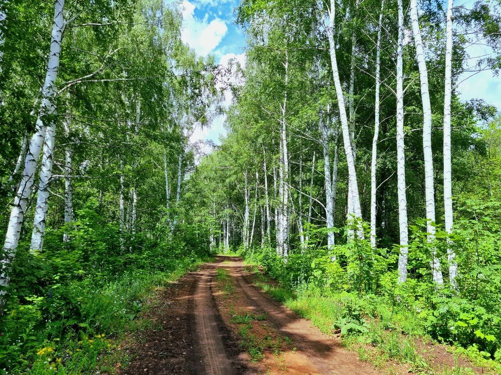 Photograph by Наталья Анисимова