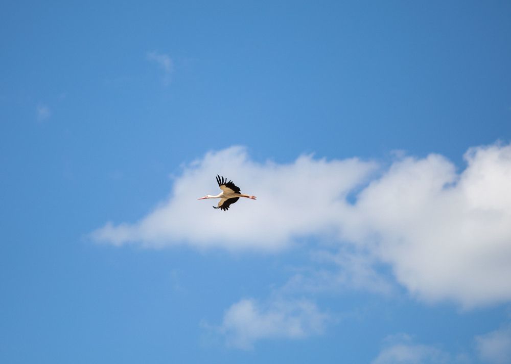 Photograph by Татьяна Тарунтаева