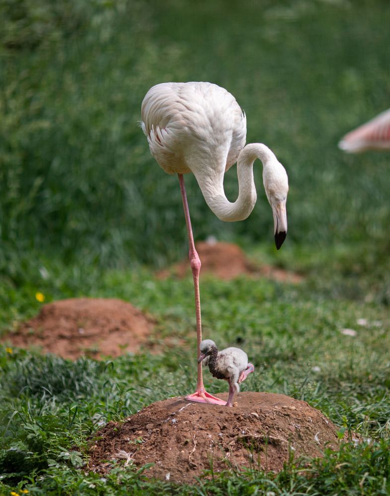 Photograph by Татьяна Тарунтаева