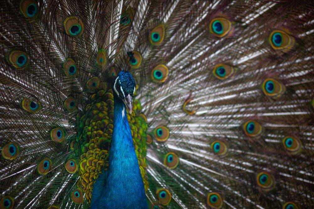 Photograph by Татьяна Тарунтаева