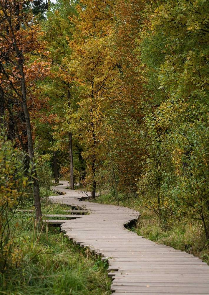 Photograph by Сергей Басов