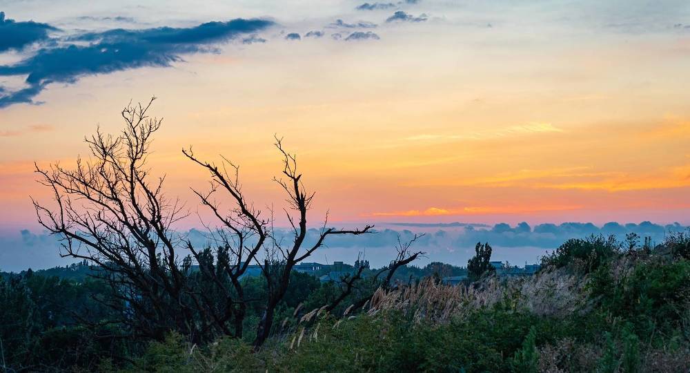 Photograph by Сергей Басов