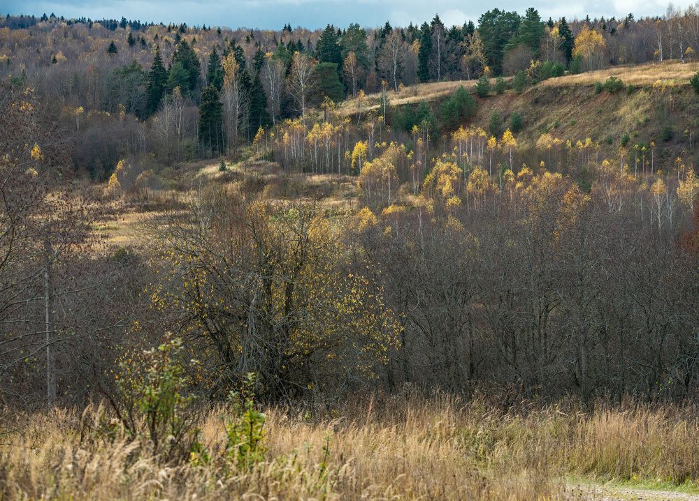 Photograph by Сергей Басов