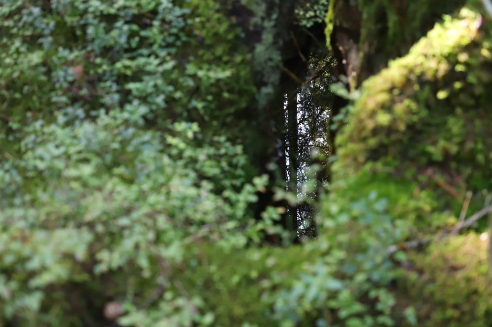 Photograph by Юлия Яковлева