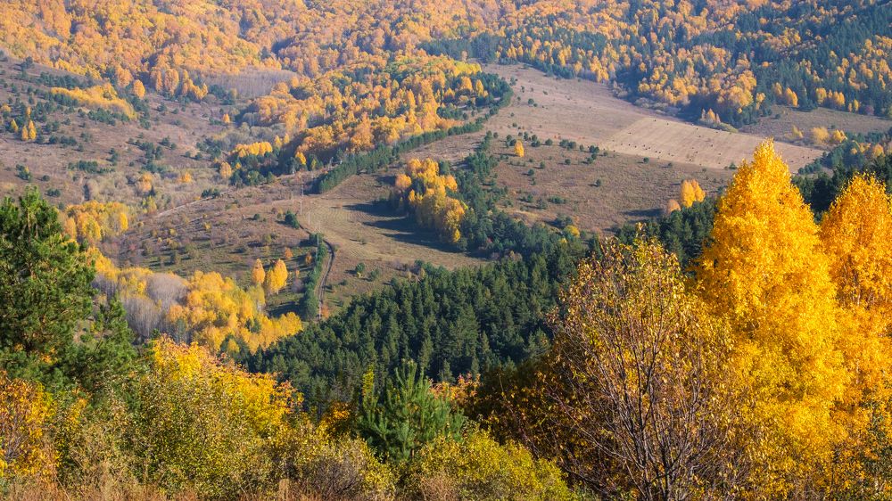 Photograph by Ольга Тюрина