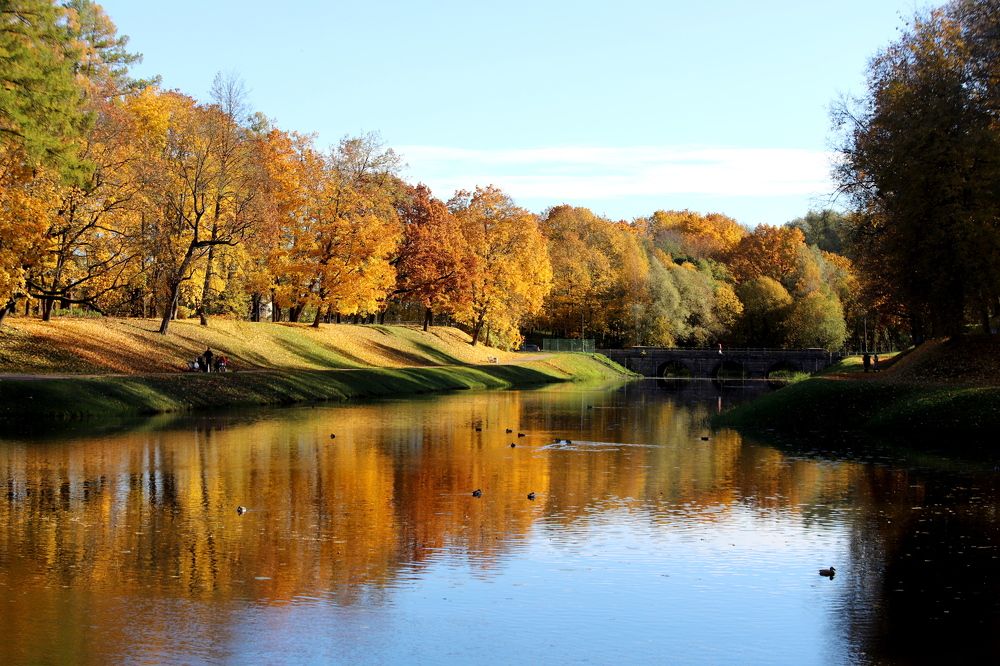 Photograph by Анастасия Солодкая