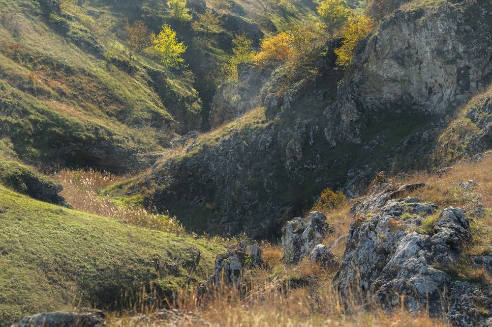 Photograph by Semeniuc Anna