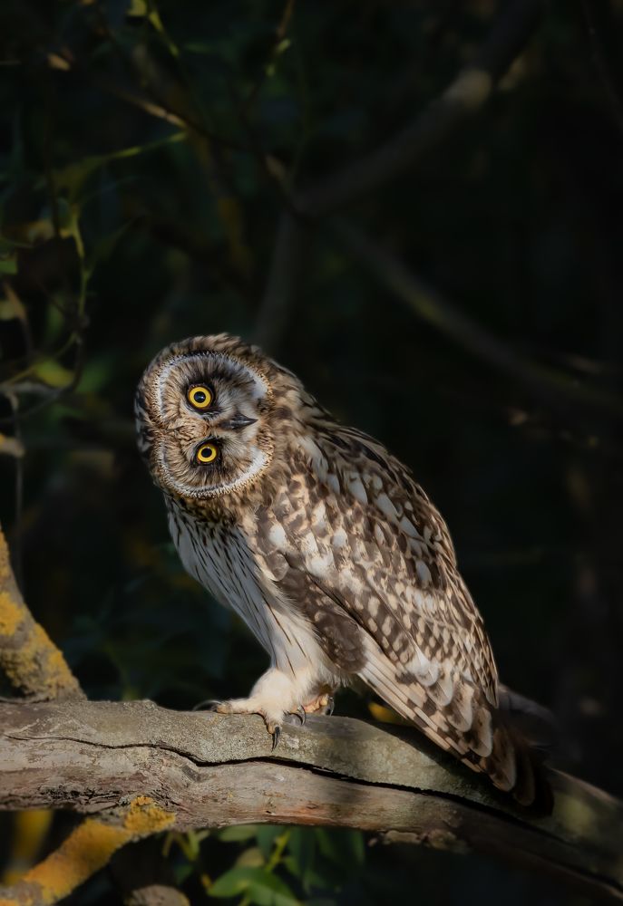 Фотография автора Ольга