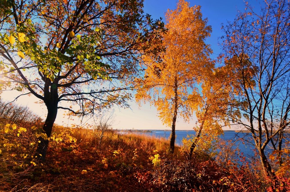 Photograph by Наталья Иванова