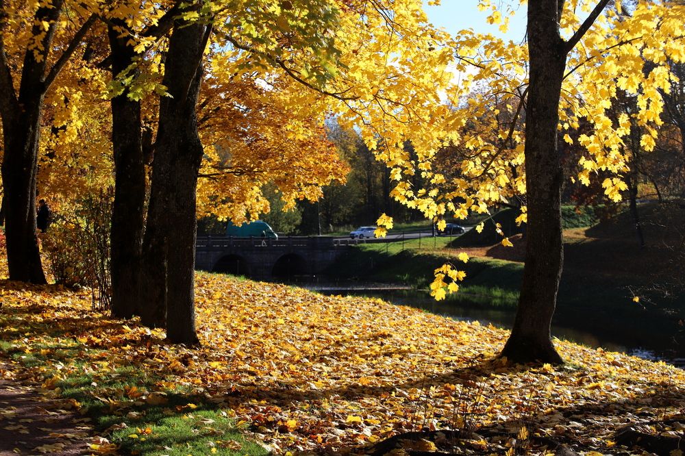 Photograph by Анастасия Солодкая