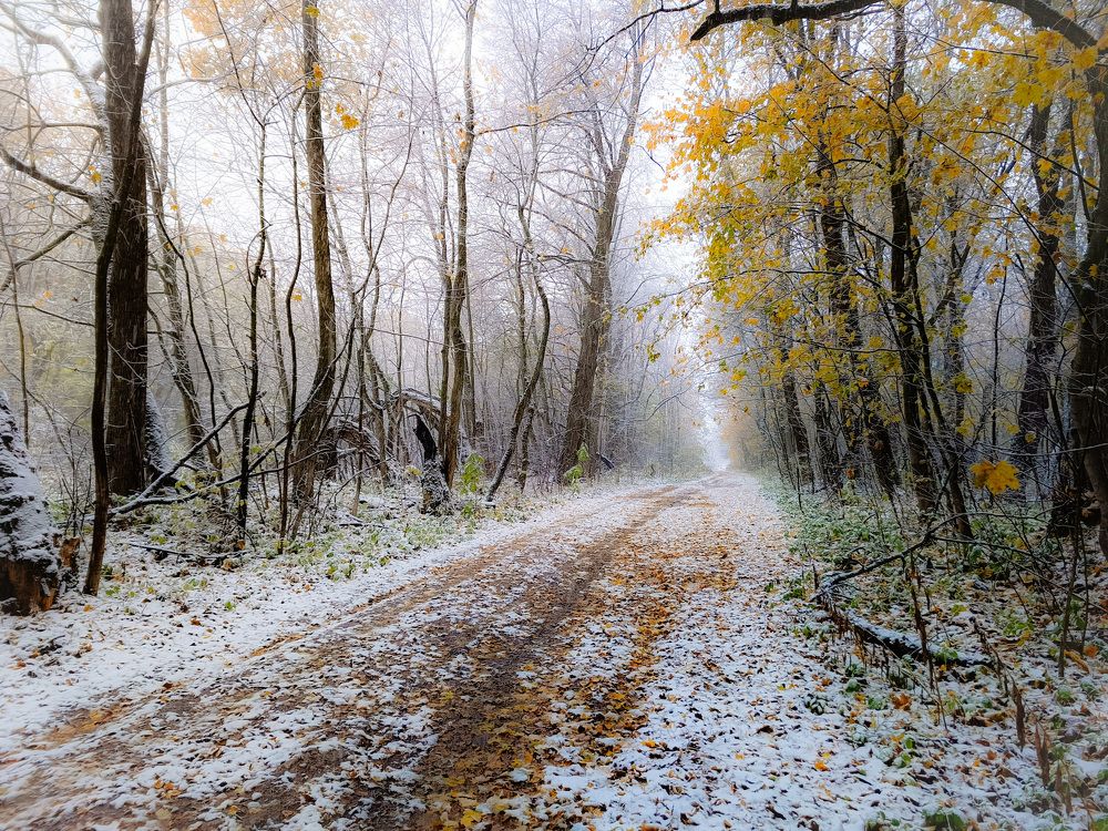 Photograph by Кондрашова Светлана