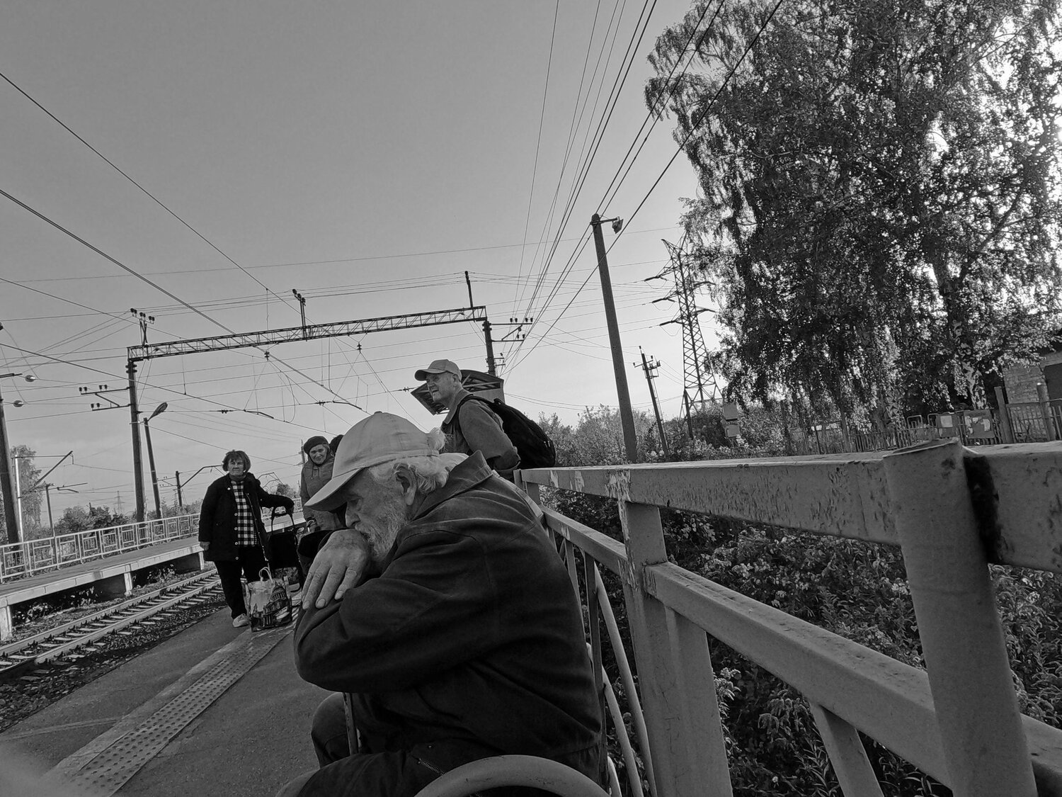 Photo #11234030