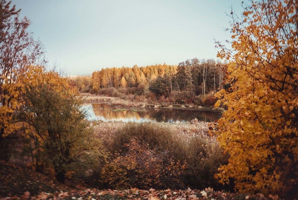 Photograph by Елена Пасажицкая