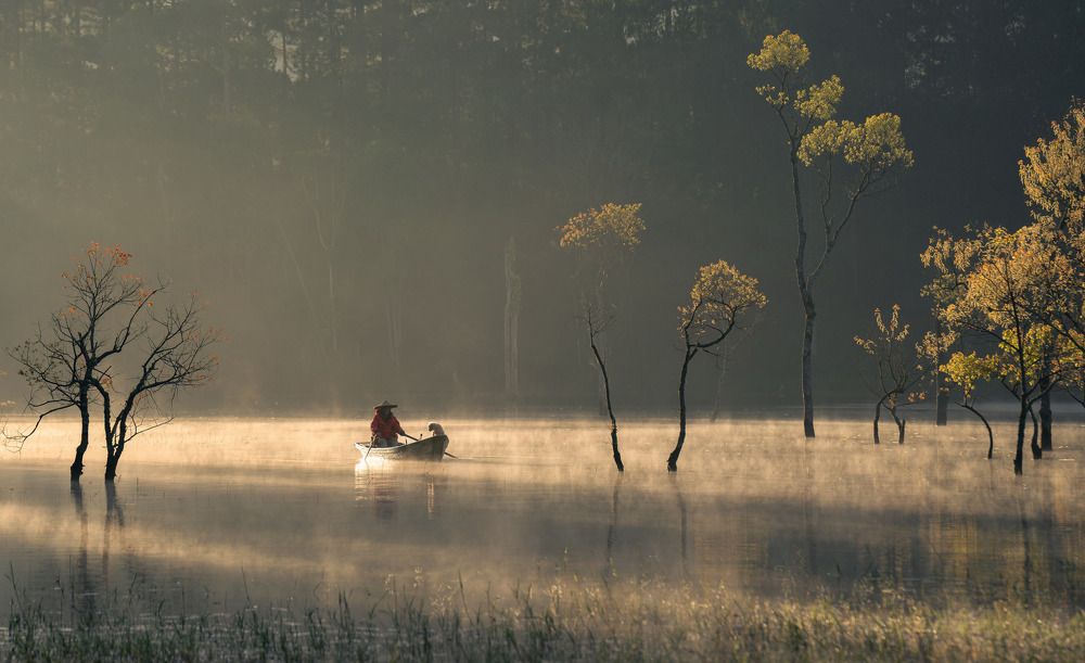 Фотография автора Lien Vu