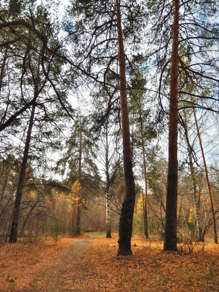 Фотография автора Клавдия Васильева