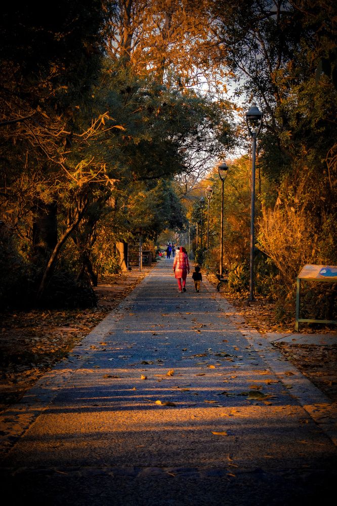 Photograph by Jayant Kashyap