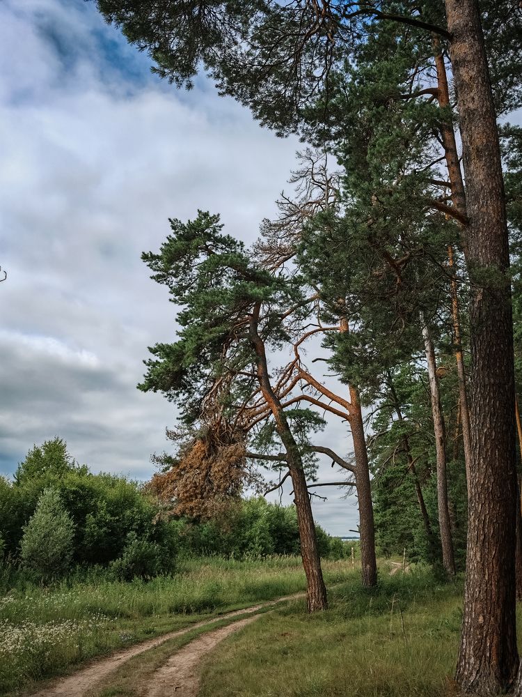 Photograph by Наталья Гришаева