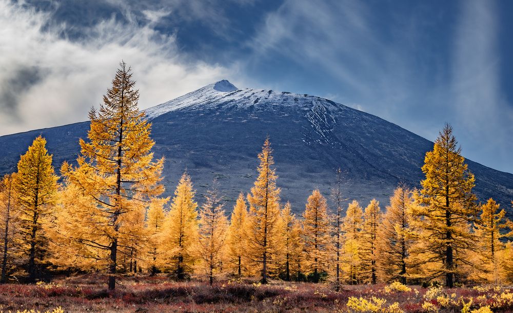 Photograph by Evgeny Pochaev