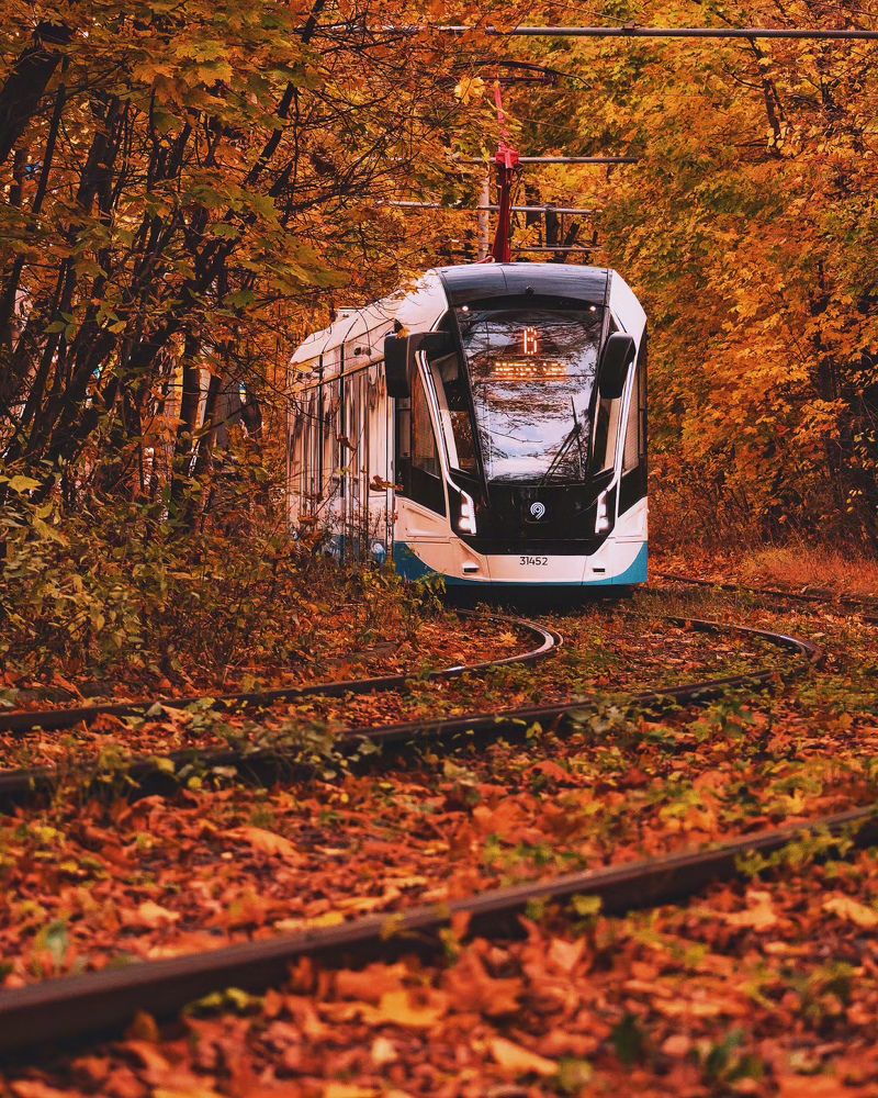 Photograph by Sveta_Poln