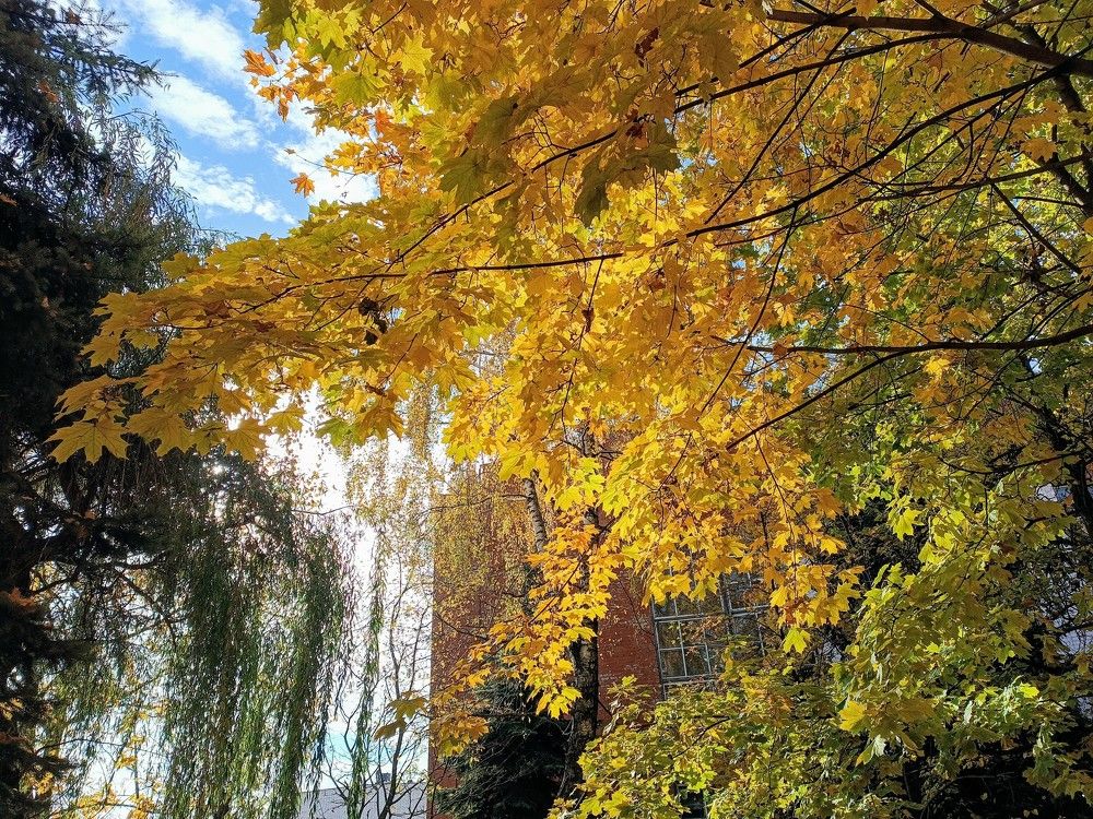 Photograph by Сидорова Ирина