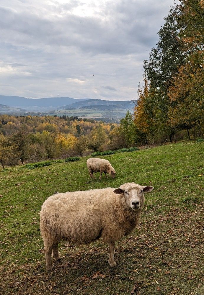 Photograph by Viktoriya Filip